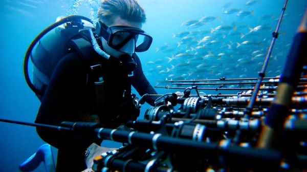 Top 5 fucili subacquei per ottimizzare la pesca